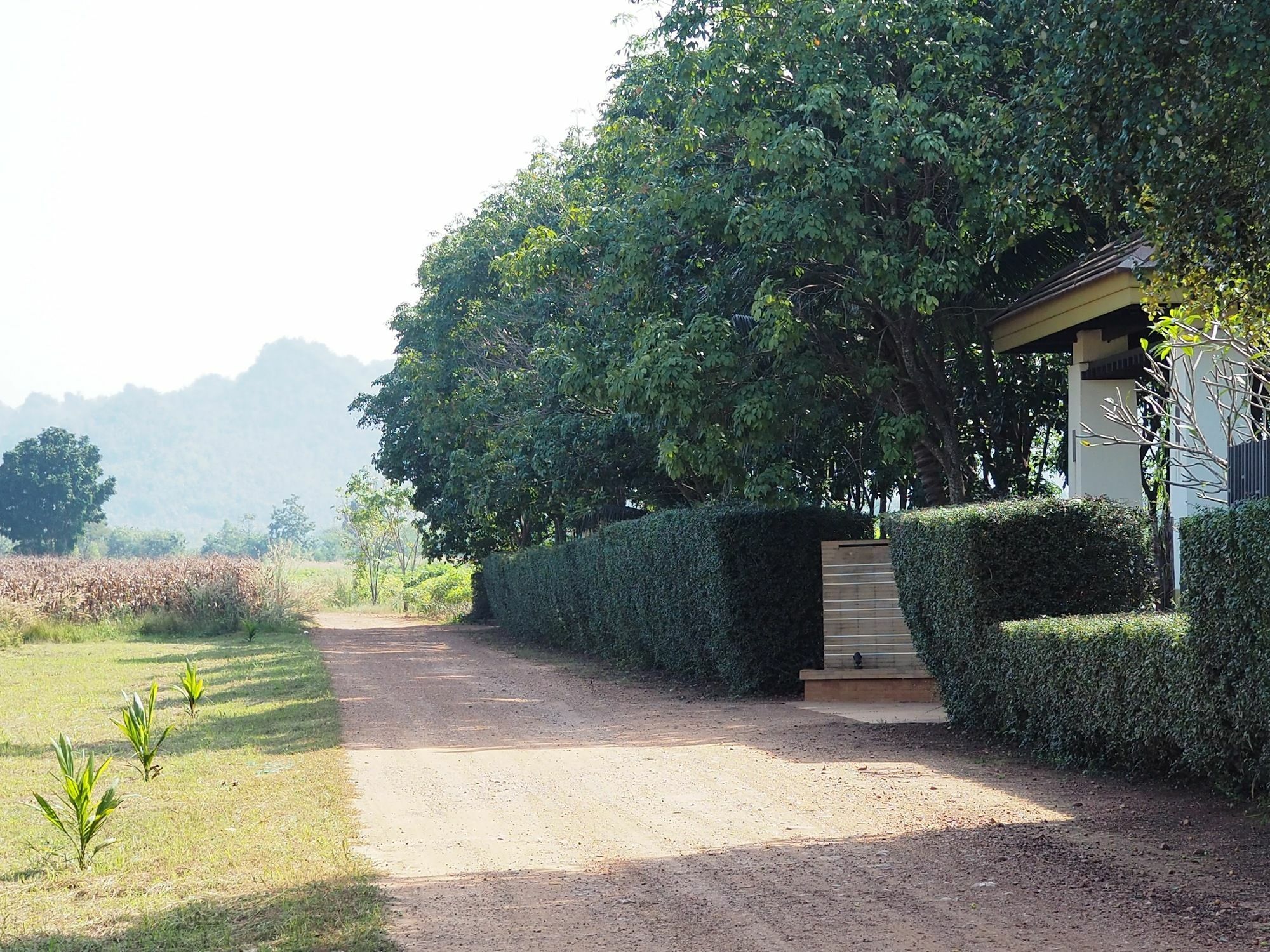 Singha Rubber Tree Hotel Sai Yok Luaran gambar