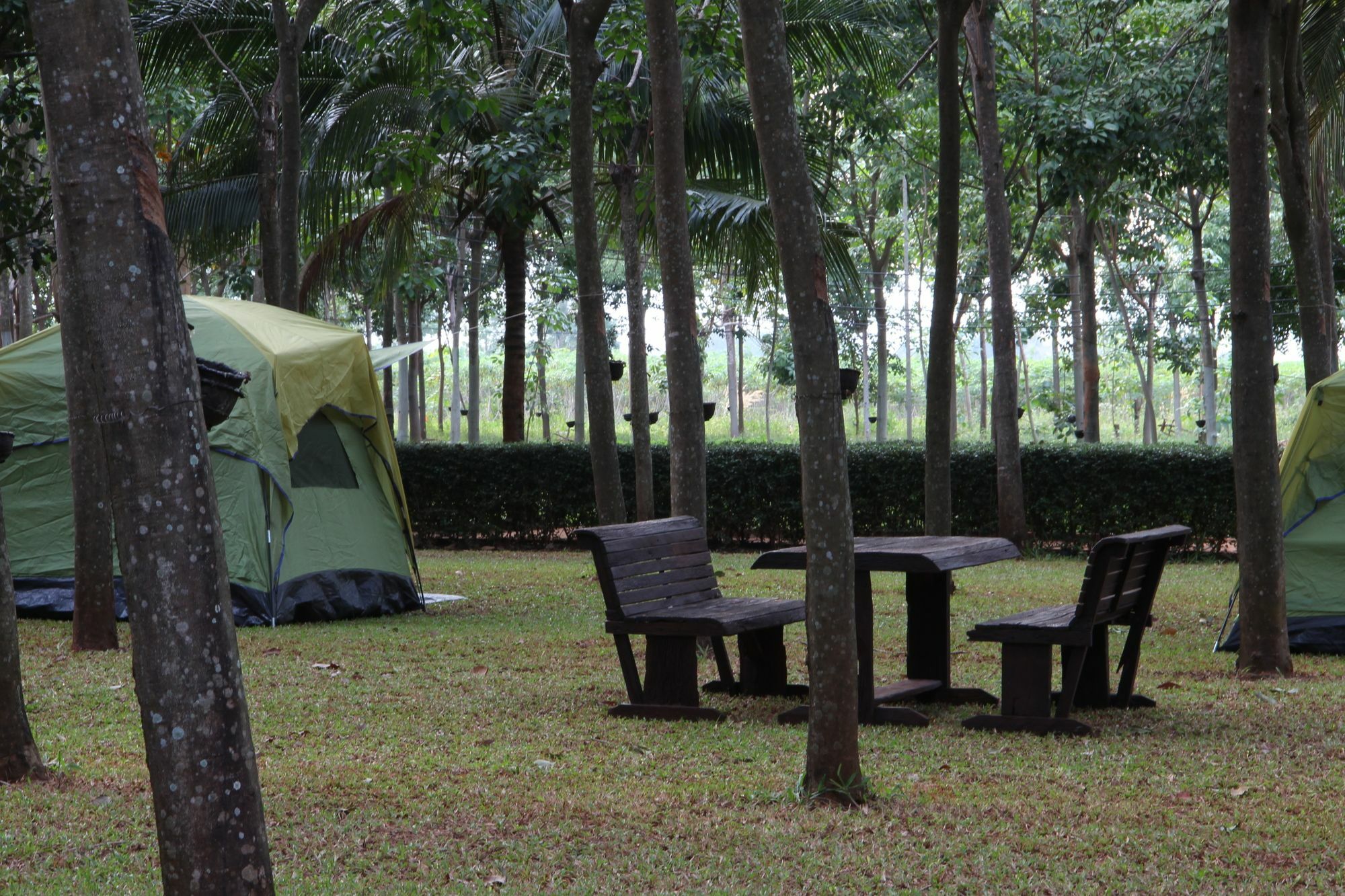 Singha Rubber Tree Hotel Sai Yok Luaran gambar