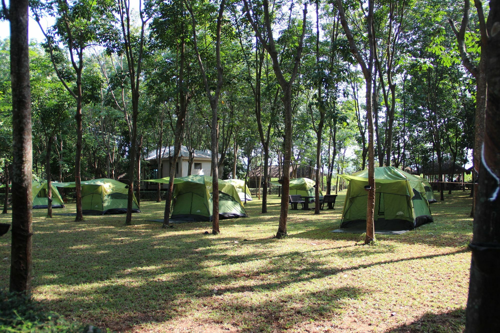 Singha Rubber Tree Hotel Sai Yok Luaran gambar